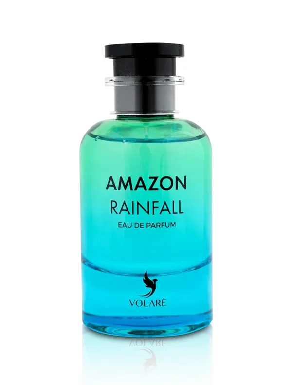 Amazon Rainfall